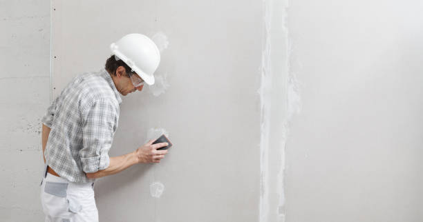 Professional Drywall & Painting Services in La Salle, CO